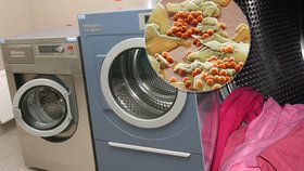 Při jemném praní prádla se do přírody uvolňuje velké množství mikroplastů, říká studie.