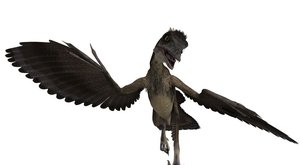 Dinosaurus archeopteryx: Jak dopadl slavný prapták