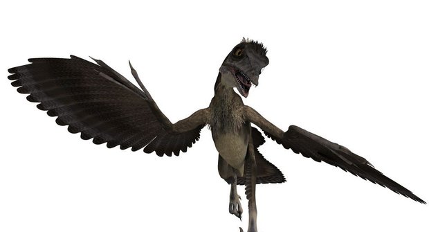 Dinosaurus archeopteryx: Jak dopadl slavný prapták
