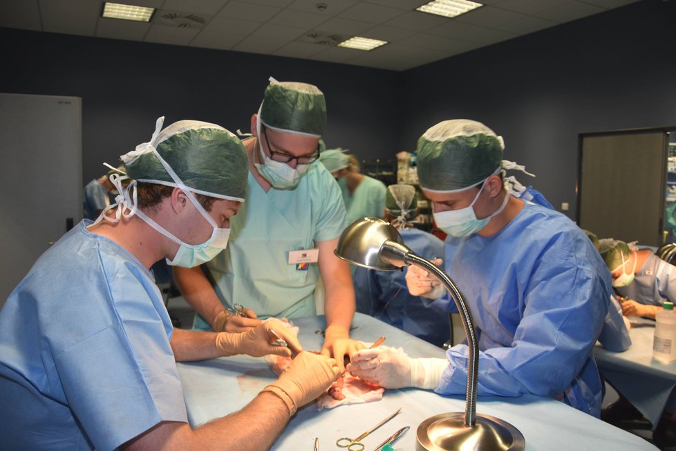 Na operačních sálech studenti pracují v týmech, dohlížejí na ně lektoři.