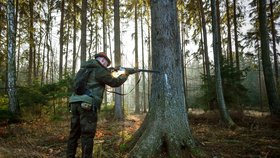 Zlínský hejtman Jiří Čunek (KDU-ČSL) vyhlásí kvůli obavám z dalšího šíření afrického moru prasat zákaz vstupu osob do oblasti ohniska nákazy na Zlínsku.