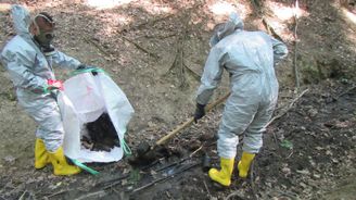 Africký mor prasat neustupuje. Na Zlínsku vyhlásí zákaz vstupu do oblastí nákazy