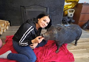 Monika Šotérová (43) od malička miloval čuníky. Teď si splnila sen a jednoho má doma místo psa.