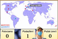 INTERAKTIVNÍ MAPA: Šíření prasečí chřipky