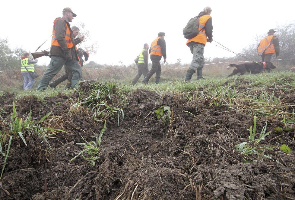 Myslivcům hrozí pokuta, když neuloví dost prasat. Zabíjet budou i víc lišek