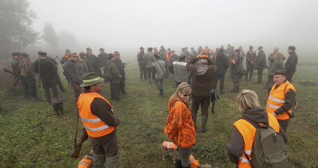 Divoká prasata v Plzni potrhala myslivcům psa: Kvůli oběšenci útočila i na policisty (ilustrační foto)