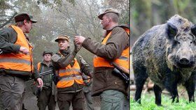 Městská část Praha 14 dostane v lednu od myslivců plán boje proti přemnoženým divočákům.