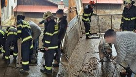 Hasiči ve Zlínském kraji mají za sebou kuriózní zásahy, například lovili prase z jímky.