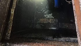 Hasiči ve Zlínském kraji mají za sebou kuriózní zásahy, například lovili prase z jímky.