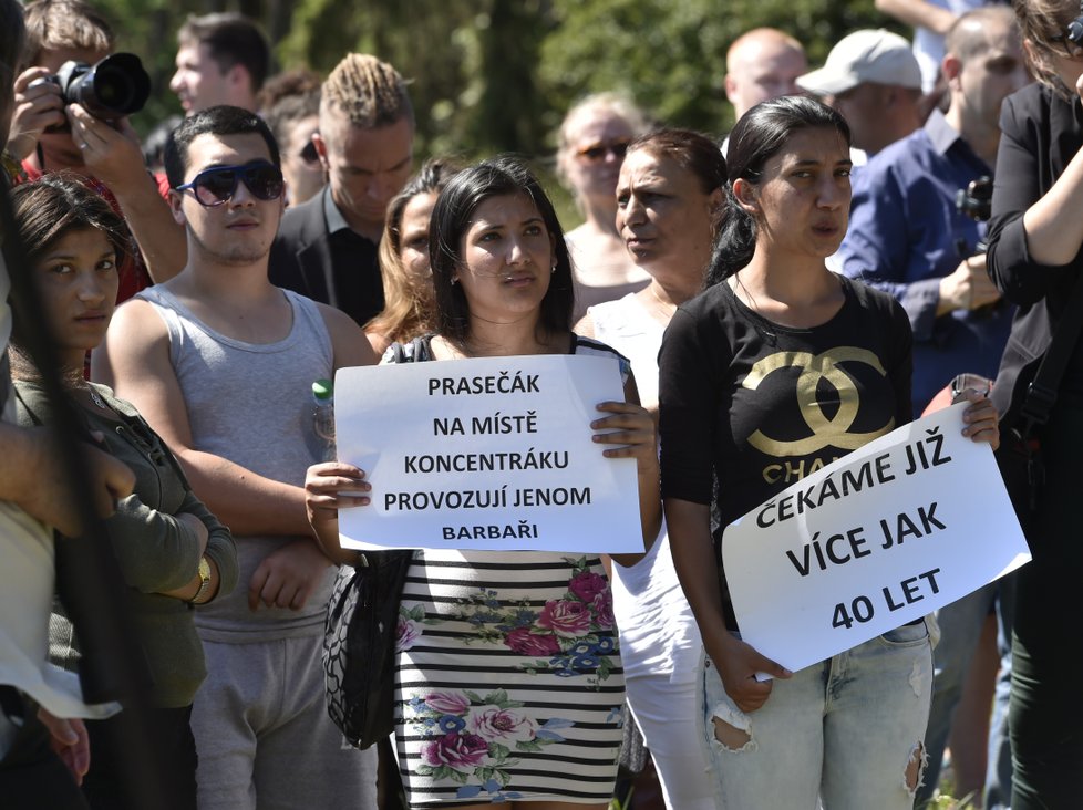 Stovky aktivistů z antirasistického hnutí žádaly v Letech odstranění vepřína.