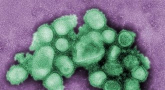 Kolumbie kvůli chřipce nepřijme Mexičany