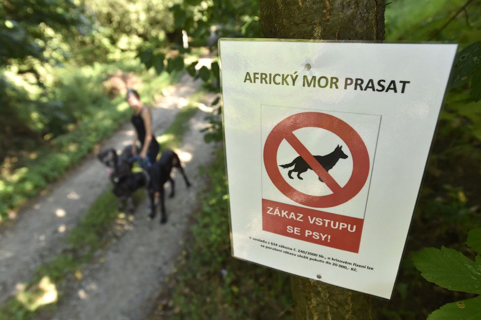 Kvůli africkému moru je zakázaný vstup s domácími zvířaty do lesů na katastrálních územích Hvozdná, Štípa, Kostelec u Zlína, Veselá u Zlína, Klečůvka a Lužkovice. Na snímku z 2. srpna je cedule informující o zákazu v Lípě na Zlínsku.