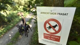 V ohnisku nákazy prasečího moru na Zlínsku začnou kromě myslivců odstřelovat divoká prasata policisté.