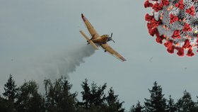 Někteří Češi se bojí, že covid v Česku šíří práškovací letadla. Jde o pouhou konspirační teorii.