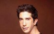 David Schwimmer jako Ross