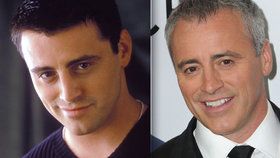 Matt LeBlanc nikdy nechtěl být nejlepším hercem.