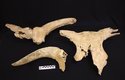 Kosti praturů z jeskyně Chando Lindoiro na severozápadě Španělska
