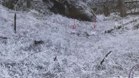 Trampové zemřeli v roce 1987. Vyšetřovatelé jako příčinu úmrtí určili kulový blesk. Nemohly mít ale v tragické smrti tří mladých lidí prsty tajné služby?