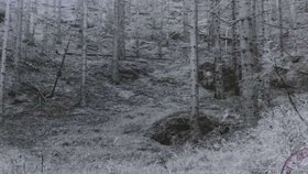 Trampové zemřeli v roce 1987. Vyšetřovatelé jako příčinu úmrtí určili kulový blesk. Nemohly mít ale v tragické smrti tří mladých lidí prsty tajné služby?