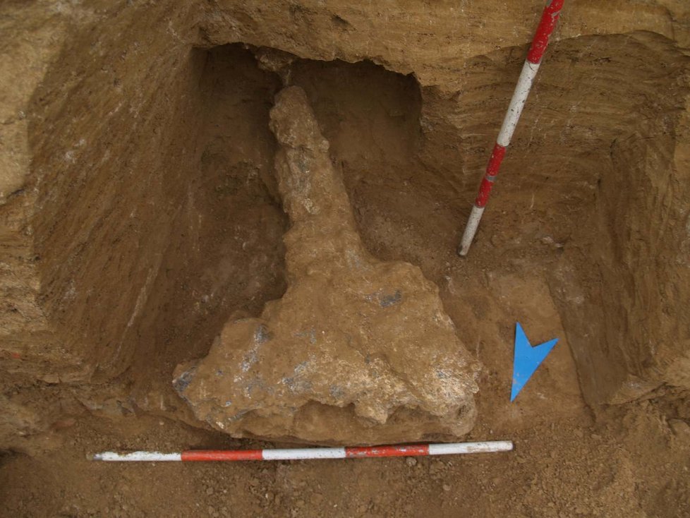 Zubří obři žili na území Brna před 150 až 200 tisíci roky. Archeologové našli zkamenělou lebku s jedním rohem ve dvoumetrové hloubce.