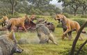 Moderní rekonstrukce pravlka obrovského, který se víc než vlkům podobá obřím rezavým kojotům. Na obrázku jsou oba druhy (vlk a pravlk) vedle sebe