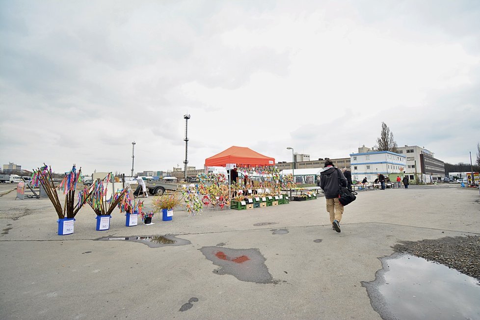 Pravý bleší trh na Nákladovém nádraží Žižkov každý týden od pondělí do pátku nabízí vetešnictví všeho druhu.