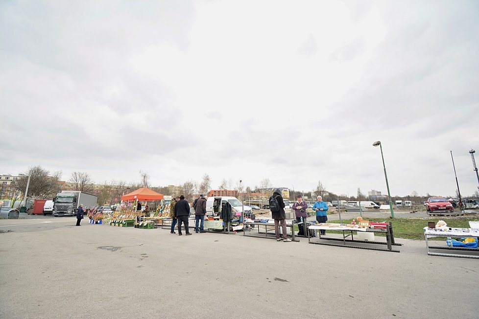 Pravý bleší trh na Nákladovém nádraží Žižkov každý týden od pondělí do pátku nabízí vetešnictví všeho druhu.