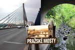 Nejsložitějším mostem v Praze je lanový, nejkratším ten přes potok v Motole.