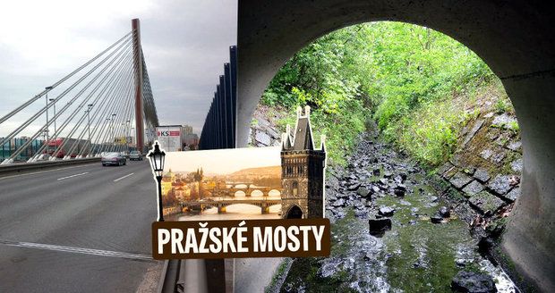 Nejsložitějším mostem v Praze je lanový, nejkratším ten přes potok v Motole.