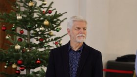 Prezident Petr Pavel vítá na Hradě návštěvníky (29.11.2025)