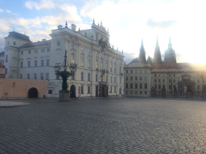 Pražský hrad dnes ráno aneb konečně se sem vrátila ta, jež tu je doma: divoká hradní kachna! 