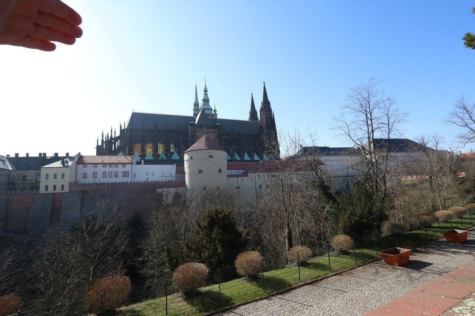 Pohled na Pražský hrad z Královské zahrady.
