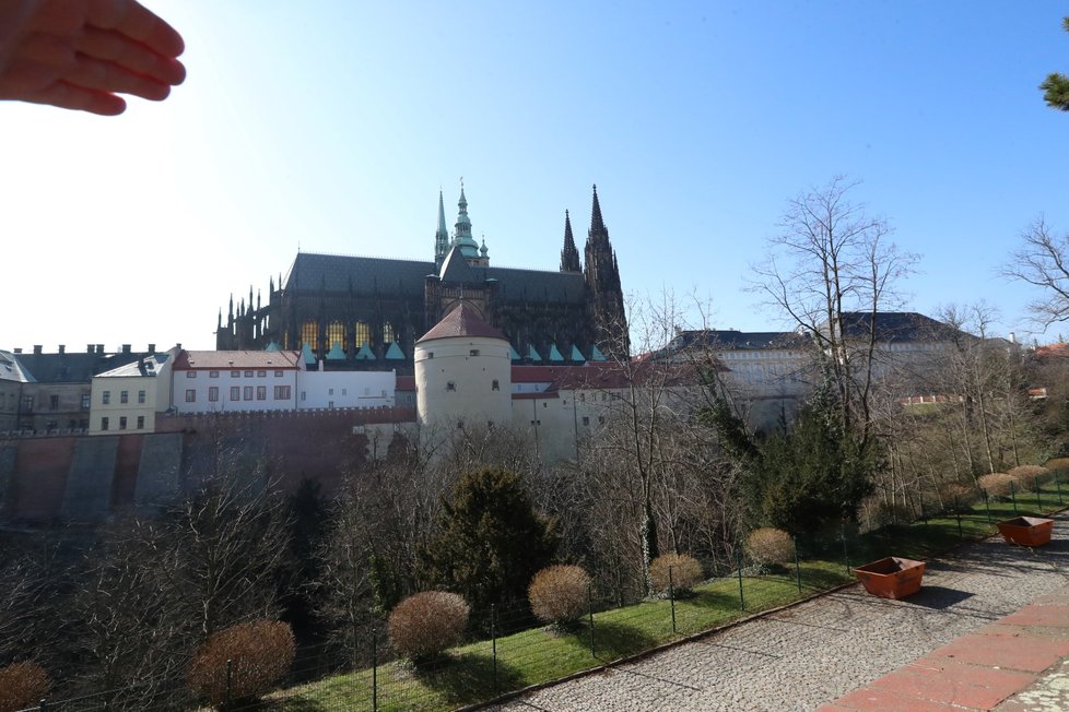 Pohled na Pražský hrad z Královské zahrady