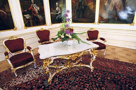 Hasbsburský salon je místo, kde se prezident setkává se svými zahraničními protějšky.