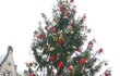 Všechny vánoční stromky na Hradě pocházejí z lesů v okolí zámku v Lánech. Osobně je vybírá lánský hajný. V areálu Hradu mohou návštěvníci obdivovat asi 40 menších smrčků a jeden velký, asi 13 metrů vysoký. Interiéry zdobí několik jedliček, především proto, že neopadají.