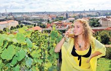 Vinobraní na Pražském hradě již o víkendu!