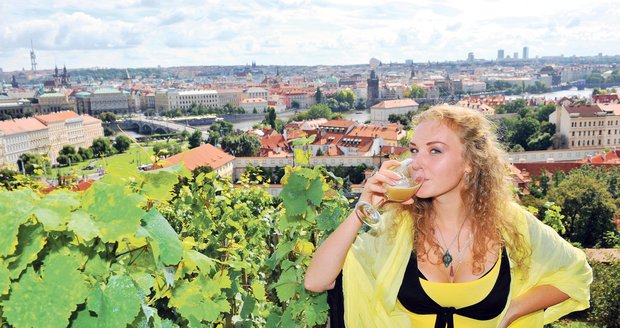 Sklenky vína a okouzlující výhled to nabídne vinobraní na Pražském hradě