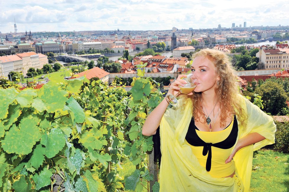 Sklenky vína a okouzlující výhled to nabídne vinobraní na Pražském hradě.