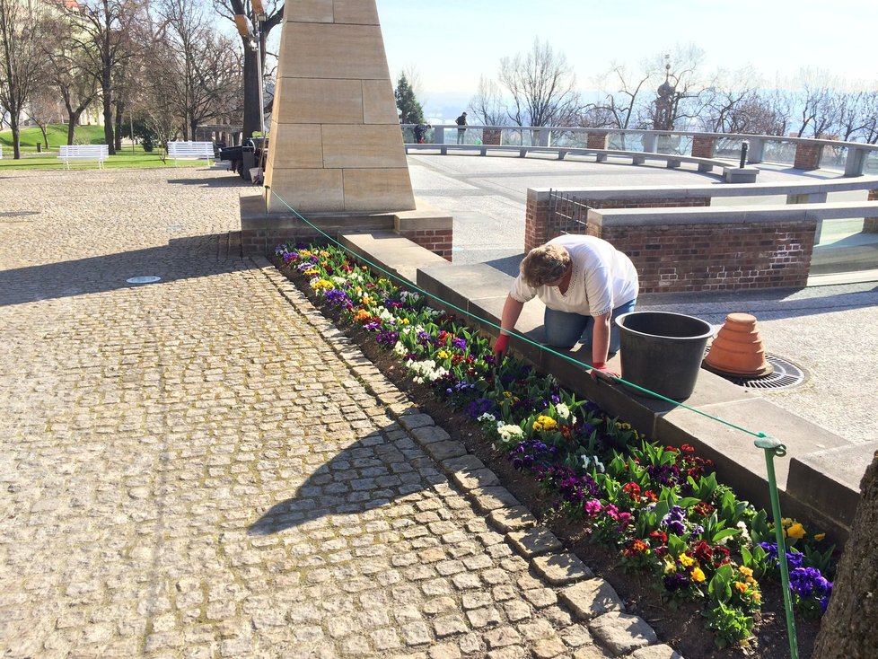 Pražský hrad hlásí připraveno. Zahrady se otevřou turistům.