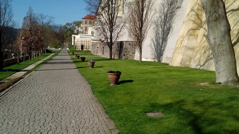 Pražský hrad hlásí připraveno. Zahrady se otevřou turistům.