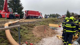 Náročné vyprošťování koně z důlního díla v Přebuzi
