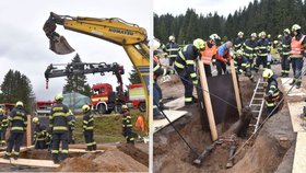 Dramatická záchrana koně skončila tragicky: Zvíře zemřelo v jámě zavalené hlínou!