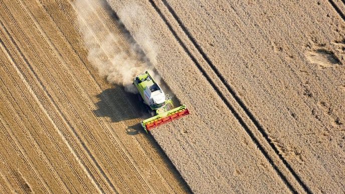 přebytek. Ceny pšenice jsou postiženy vysokými zásobami v Rusku a Kanadě