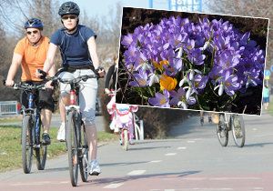 V Česku ve čtvrtek padaly teplotní rekordy, bylo přes 20 stupňů Celsia.