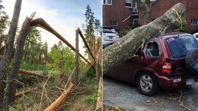 V neděli přijde do Čech silný vítr. Bude lámat větve, mohou padat stromy, varovali meteorologové. Lidé by neměli chodit na horské túry.