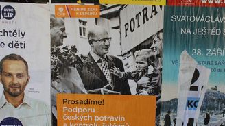 Starostové chtějí, aby zákon o volební kampani dovoloval trestat zahraniční firmy