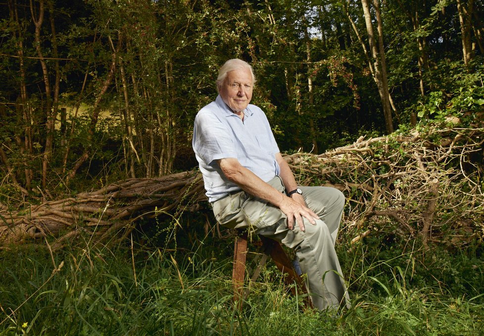 Britský přírodovědec, popularizátor, režisér, scenárista a dokumentarista, Sir David Frederick Attenborough (*1926), je spojen s popularizací přírodních krás celého světa již přes 60 let nejen svým obličejem a hlasem. Jeho nejvýznamnějším počinem je zřejmě devět sérií pořadu o rozmanitosti života na Zemi, které vytvořil ve spolupráci s BBC.