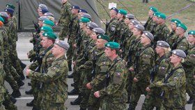 Česká armáda by do roku 2030 měla mít až 30 tisíc profesionálních vojáků.