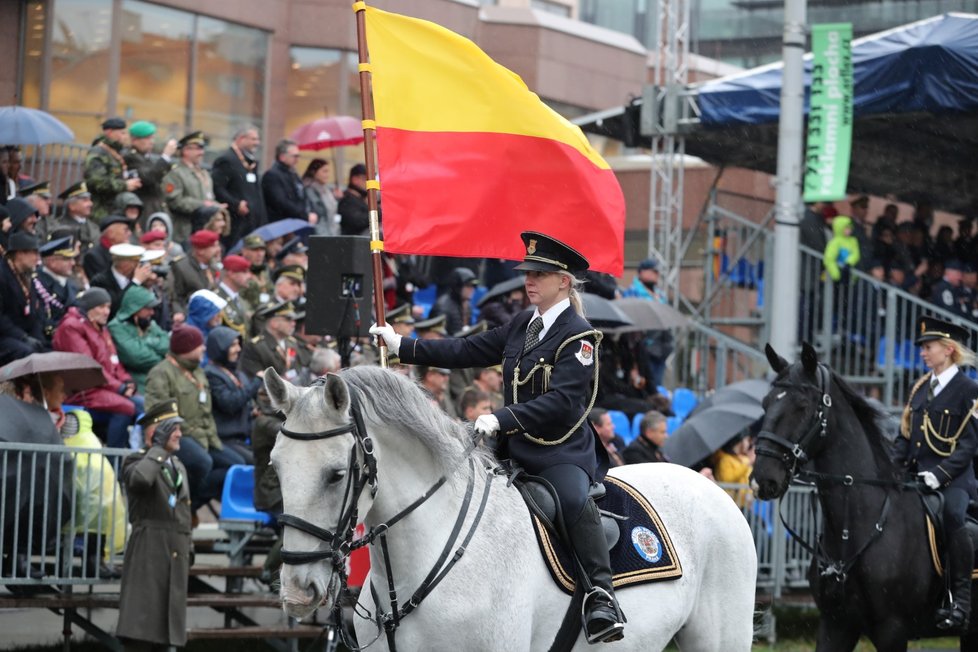 Martin Hrinko koordinoval přehlídku a ukázku policejních sil a prostředků v rámci Dne oslav 100 let vzniku ČSR v Praze na Evropské třídě 28. 10. 2018.