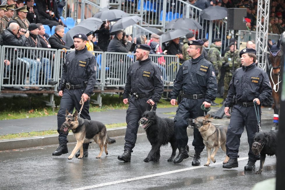 Martin Hrinko koordinoval přehlídku a ukázku policejních sil a prostředků v rámci Dne oslav 100 let vzniku ČSR v Praze na Evropské třídě 28. 10. 2018.